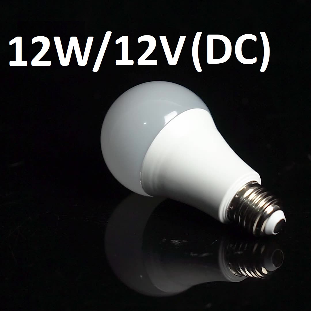DC Bulb 12V